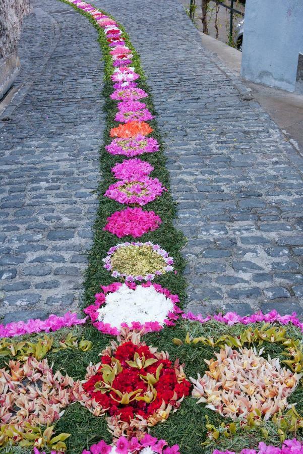 Antonella Home Funchal المظهر الخارجي الصورة