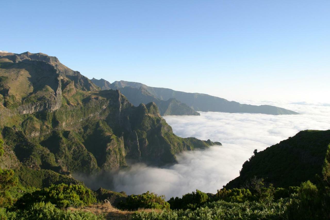 Antonella Home Funchal المظهر الخارجي الصورة